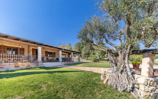 Selva-3834 Mallorca