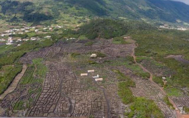 Insula Vinus Apartments