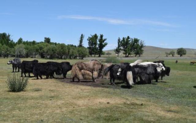 Wonder Mongolia Guest House