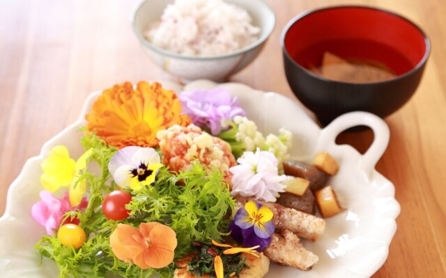 Lodge KIRA where sun and stars shine