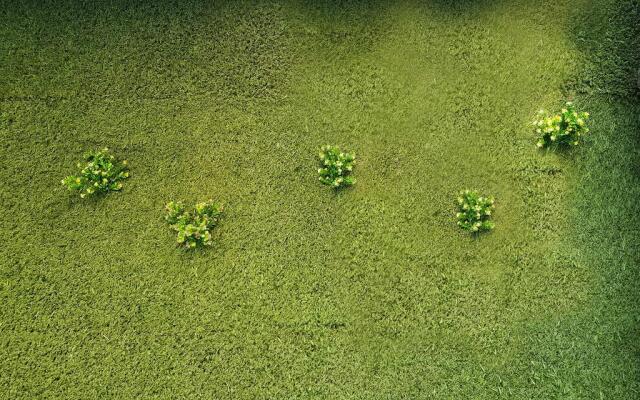 The Lively Hotel Kualanamu Airport Medan