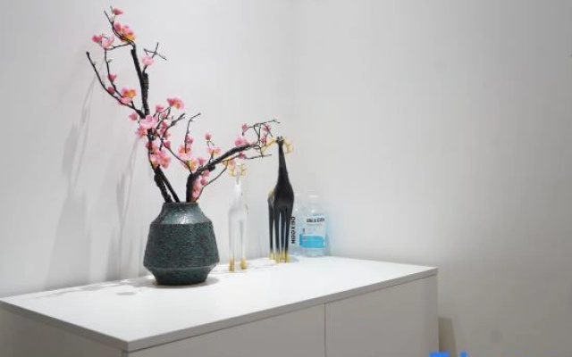 Wangjiao Apartment (Ancient City Jichuan Branch)