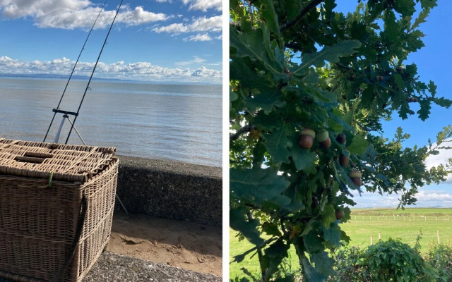 The Pleasant Hut at Mountpleasant Farm