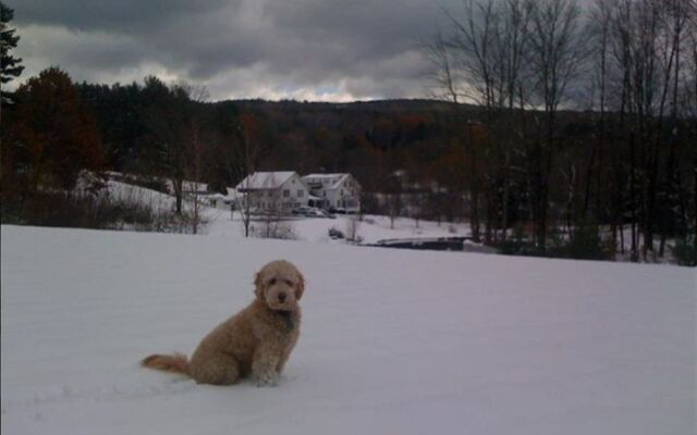 The Trumbull House Bed and Breakfast