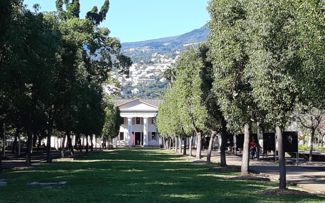 L'escale des Palmiers