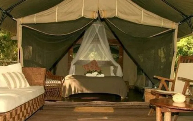 Paperbark Camp