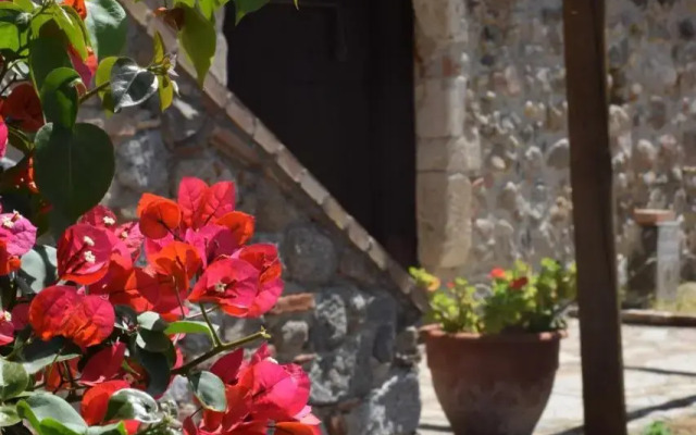 Agriturismo Fellino
