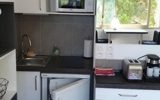 Garden and beach sea view apartment Cannes