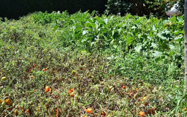 Tenuta Santa Giovanna