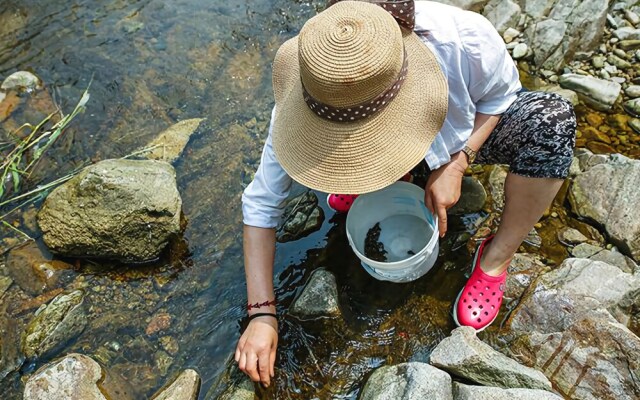 Jeongseon Firefly Light Clay Pension