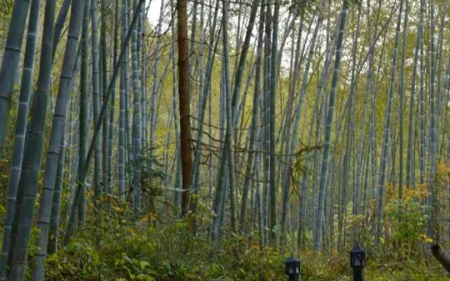 Nvue Resorts Zhangjiajie