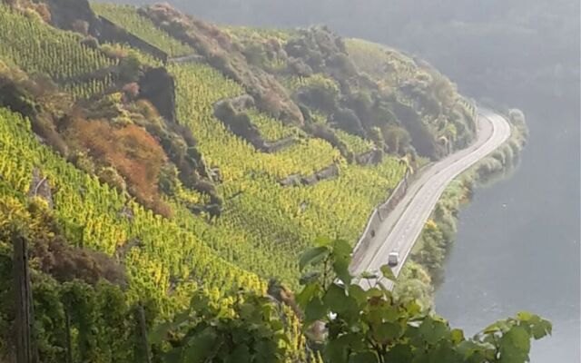 Classisches Weingut Hoffranzen