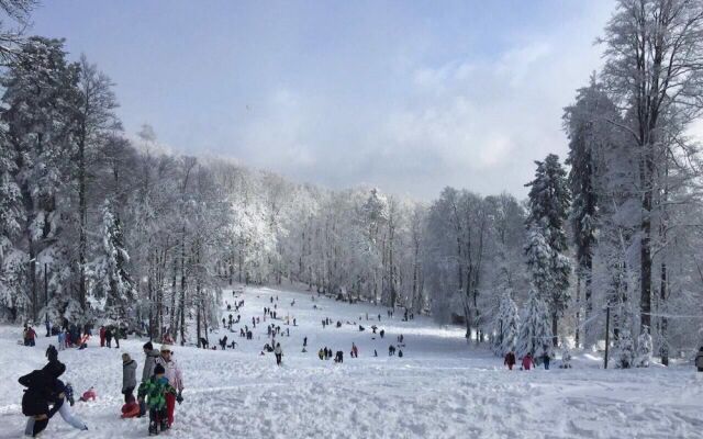 Tourist Apartments Kraljic Snjezna