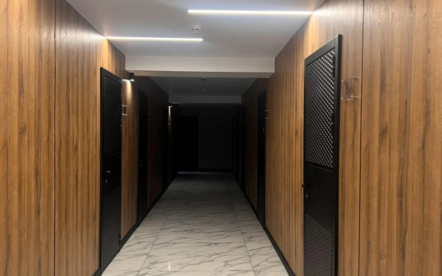 Апартаменты на улице Толстого