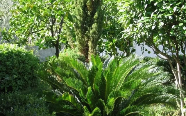Davorka - 50m From the sea - A2