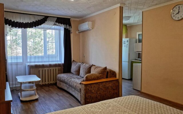 Lux Apartment on Potanina 19