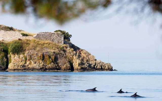 Отель Akti Toroni Boutique