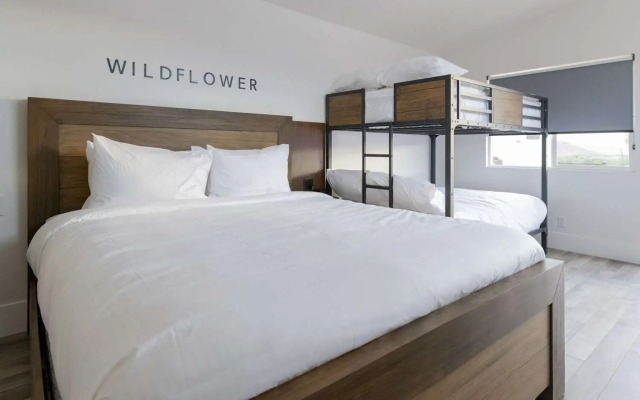 Zion Wildflower, BW Premier Collection