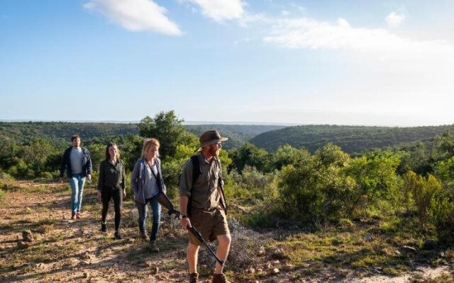 Elephants Lodge - Bellevue Forest Reserve