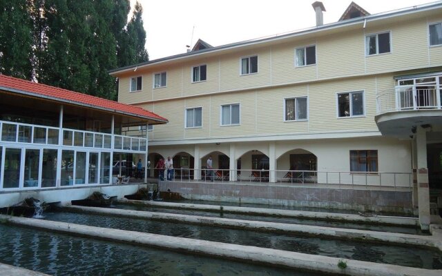 Alanlar Alabalık ve Otel