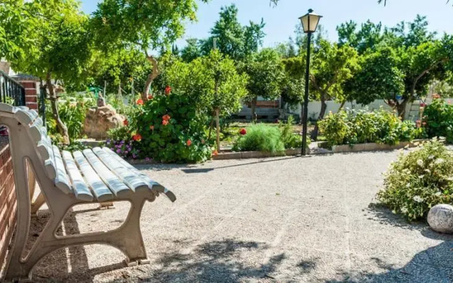 Oasis