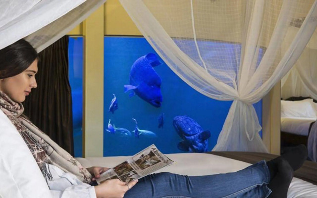 Jamala Wildlife Lodge