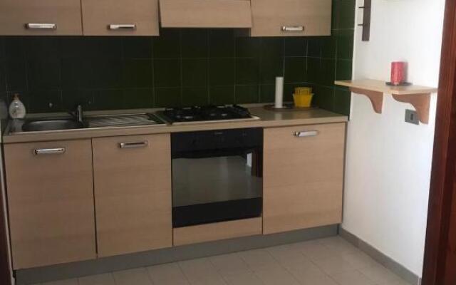 Casa Pinus
