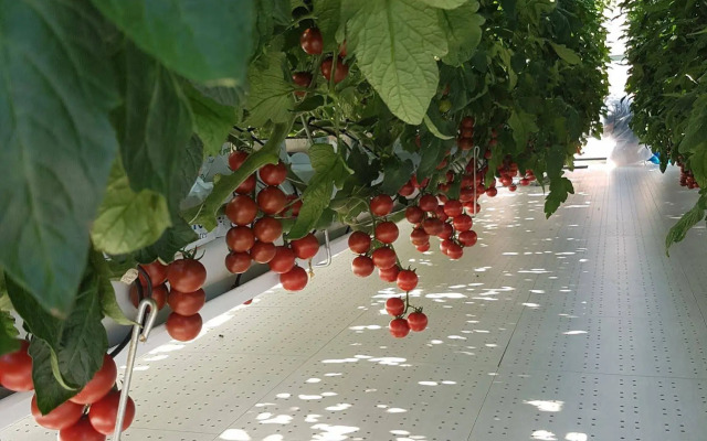 Locanda Colle Cerqueto