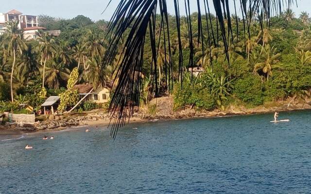 Surf Paradise Hotel