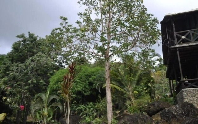 Acuali Ecohostal