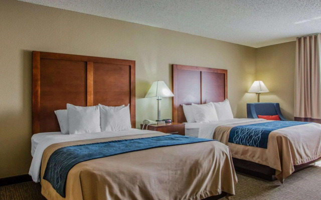 Comfort Inn & Suites Jackson - West Bend