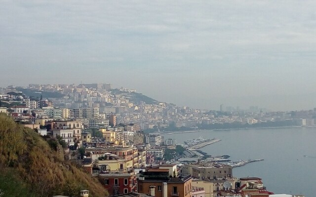 Dreaming Sorrento Studios