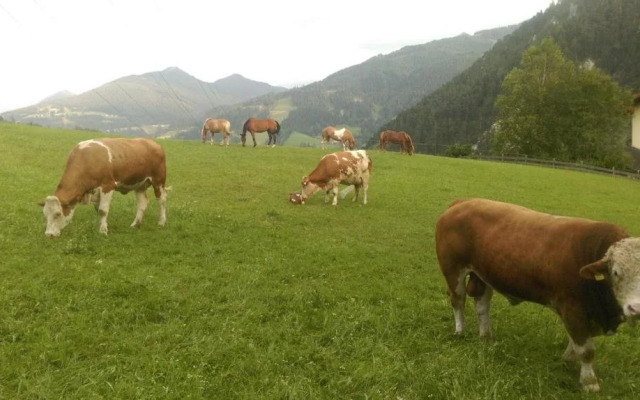 Saumerhof - Fam. Trinker Marion Und Wolfgang