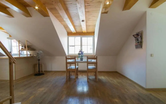 Šv. Mykolo Rooftop Apartment & Sauna