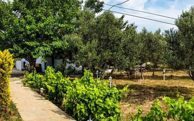 Tenedos Bag Evi