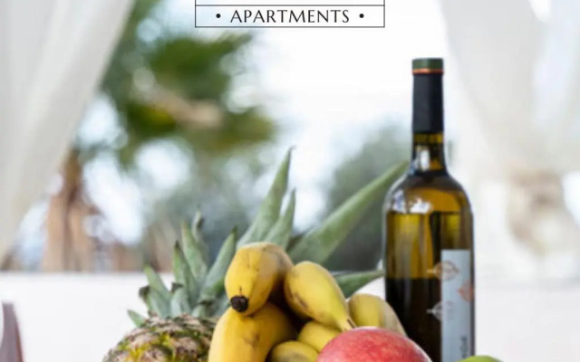 Platon Apartment