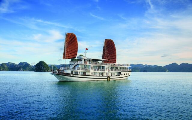 Apricot Premium Cruise