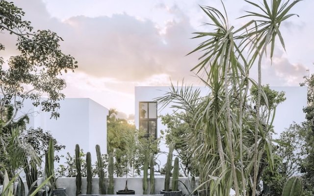 Casa Aviv House Design Awards Dream Swim-up Pool 360 View Rooftop Lush Gardens