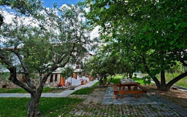 Sofia's House