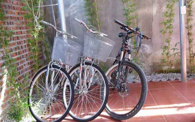 Van Long Family Homestay