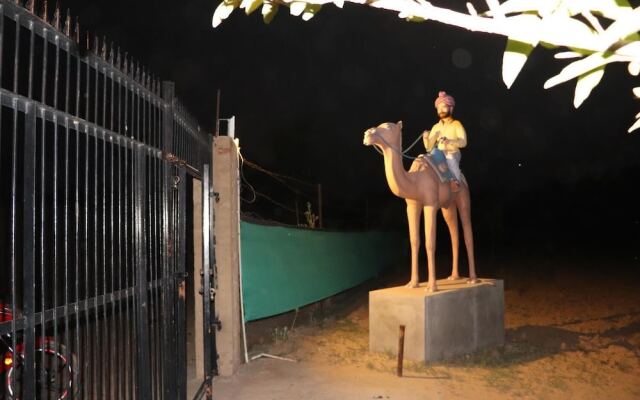 Desert Nights