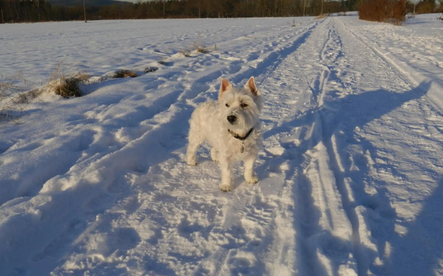 Rhein - Mosel Quartier 4