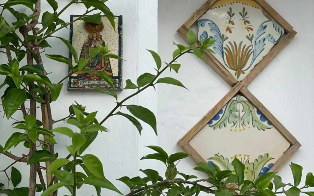 The Traveller`s house AntiQua centro de Vejer con wifi