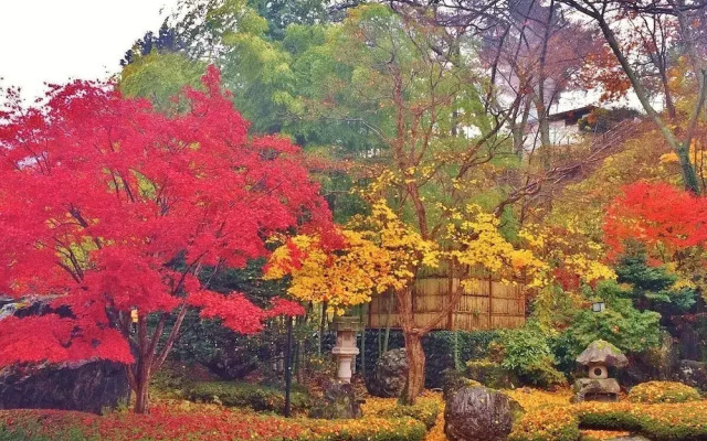 Ashinomaki Hotel