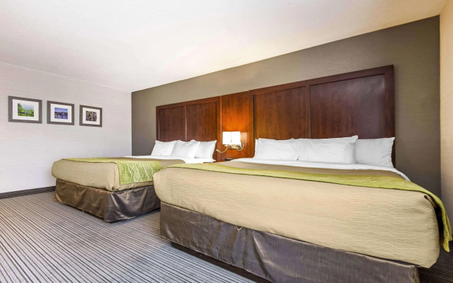 Holiday Inn Express Hotel andamp; Suites Collingwo