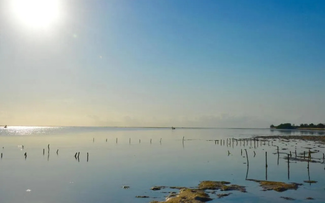 Eco Resort Sumba Dream