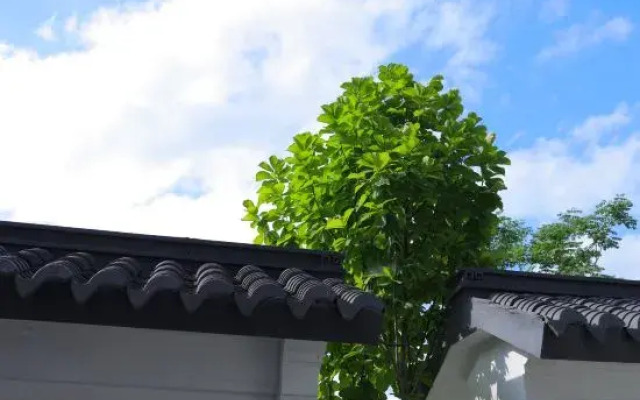 Lanfan Tingshan B&B