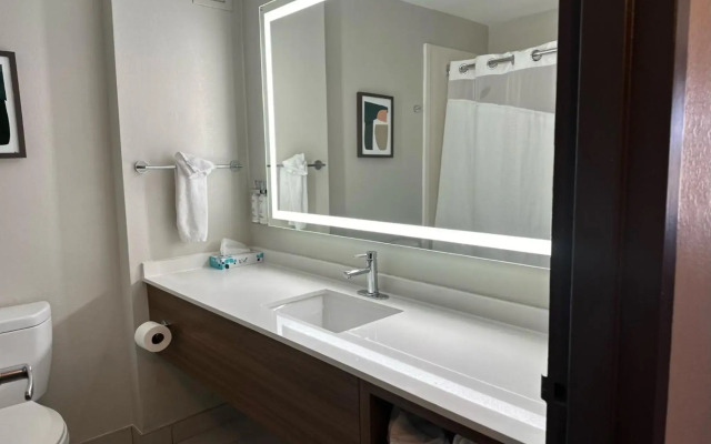 Holiday Inn Roanoke-Tanglewood-Rt 419&i581 by IHG