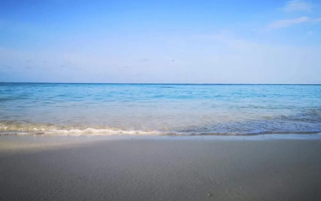 String Wave Maldives