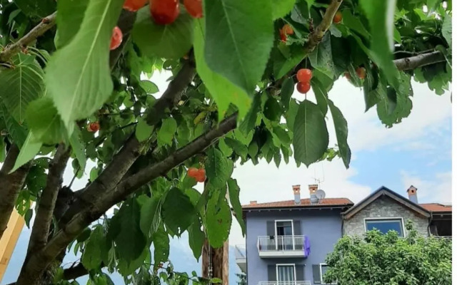 B&B Zia Vivina